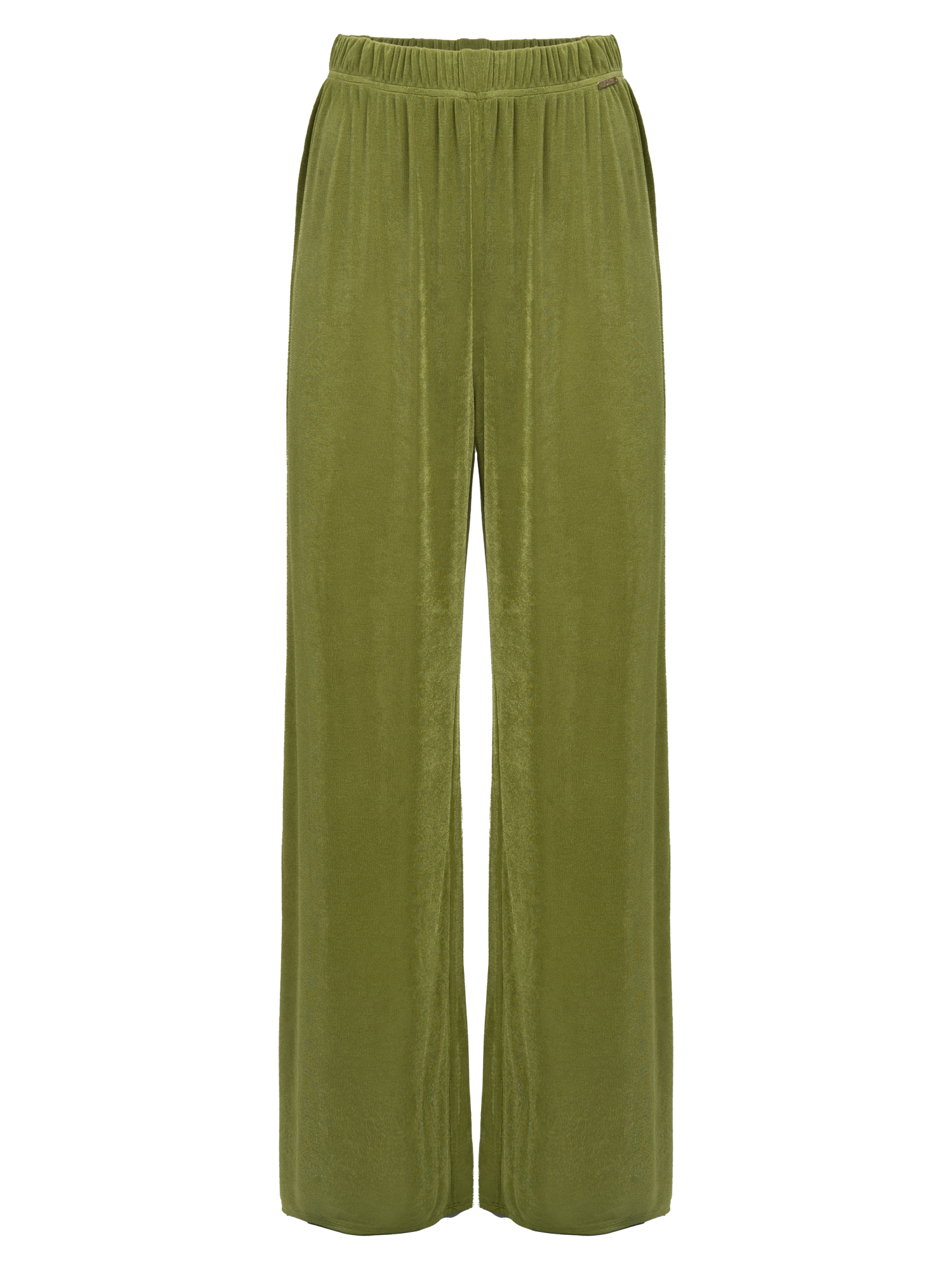 03Y134CACTUSC..png