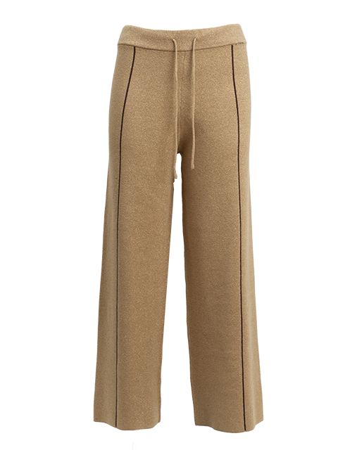 04J7889CAMEL.png