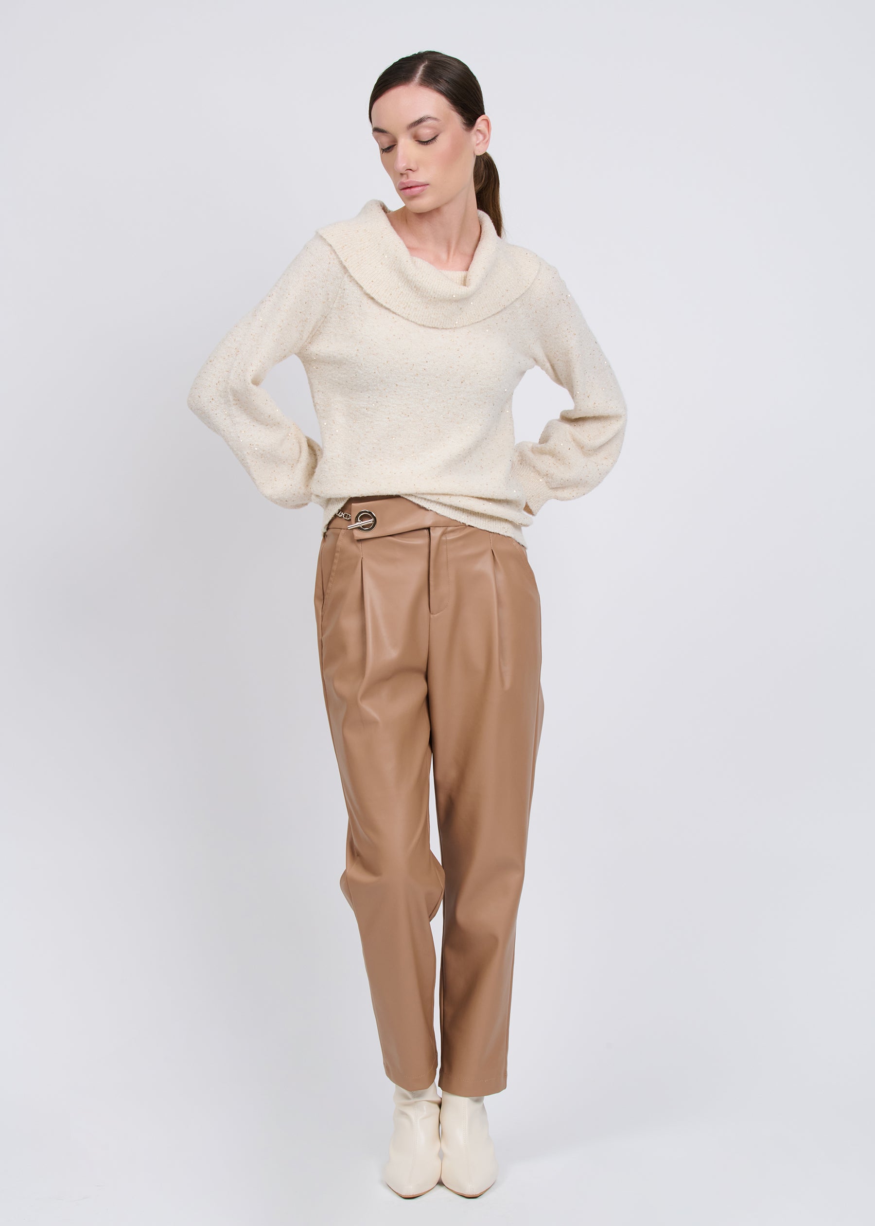 04Z3842CAMEL_2.jpg