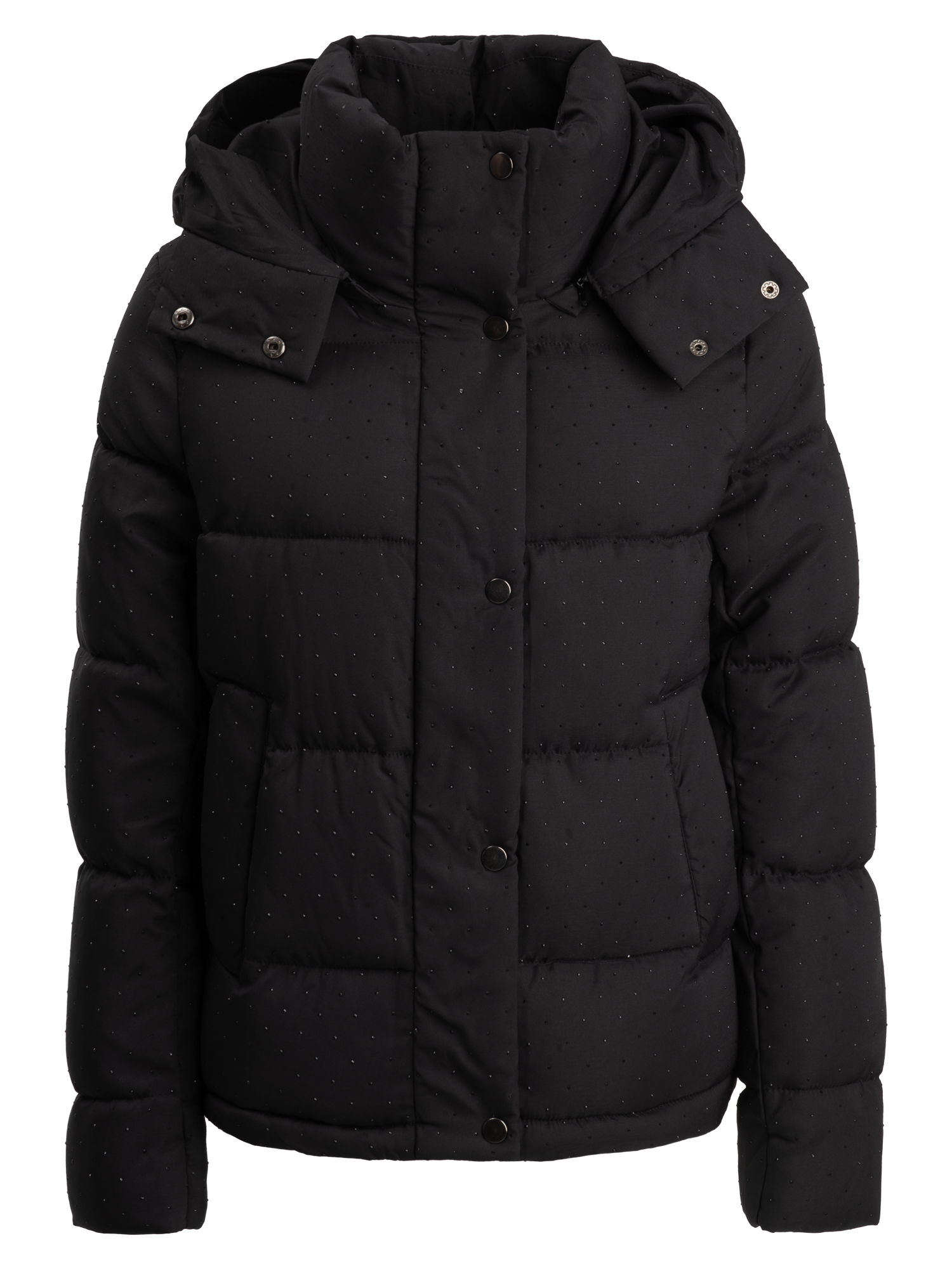 06N1677BLACK.png